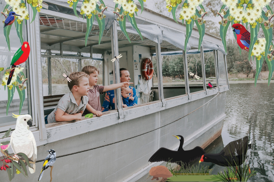 Wetlands Wild Explorers Wetlands Wild Explorers